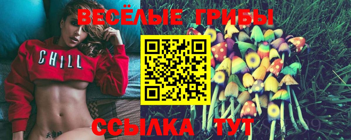 Кумертау  купить  сайты  Вход с VPN  Галлюциногенные грибы мухоморы 